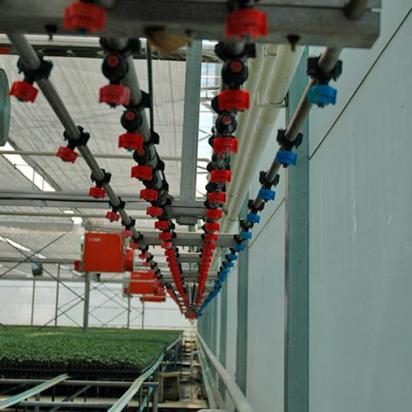 Greenhouse